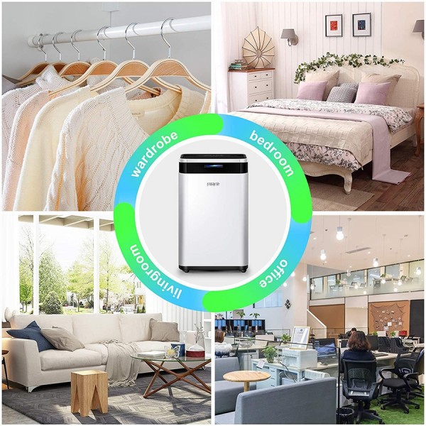 Pasapair 20L/24H electronic dehumidifier ，6L water tank 