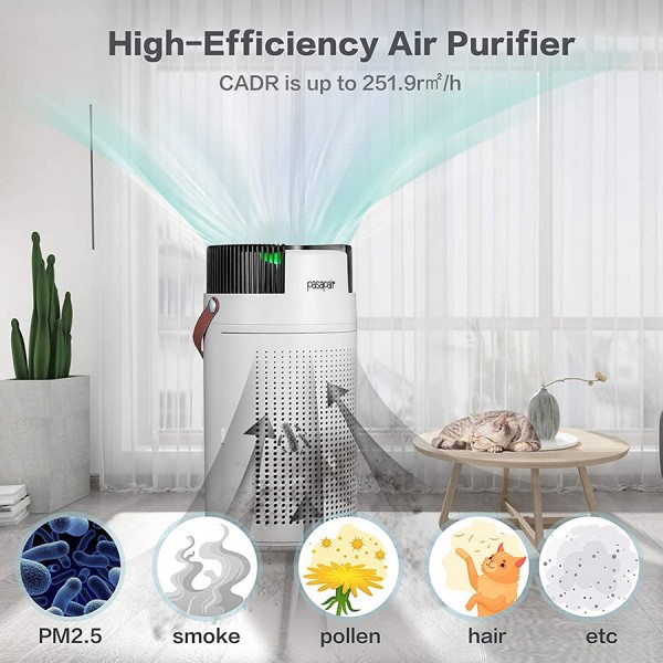 Pasapair Air Purifier HEPA Filter Air Purifier，LED Air Quality Detection, Filter Replace Reminder