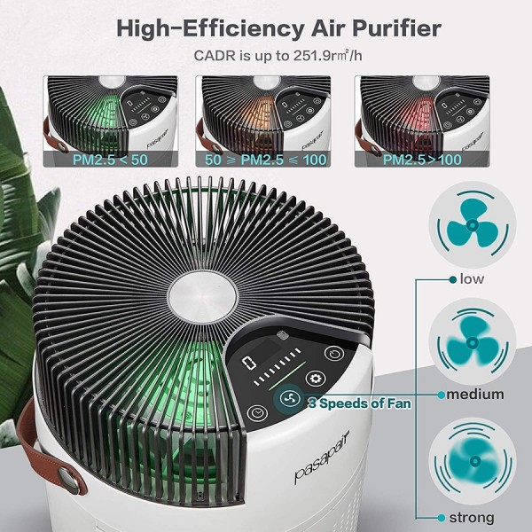 Pasapair Air Purifier HEPA Filter Air Purifier，LED Air Quality Detection, Filter Replace Reminder